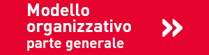 modello gestione 231